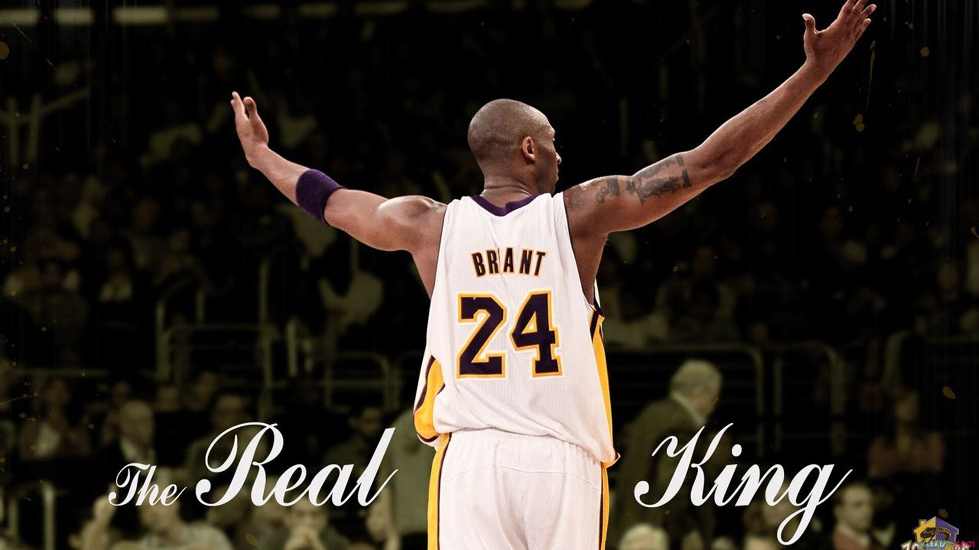 科维托娃冠军一览表