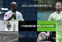 德甲沃尔夫斯堡队